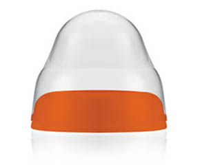 �����ǌ��ڏ���ƿ�w�Æ���