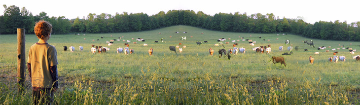 ��ޱţ���׃��䷽�̷�