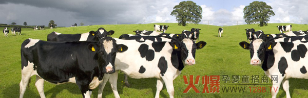 ��ޱţ���׃��̷�׌����Đ�һֱ���m(x��)