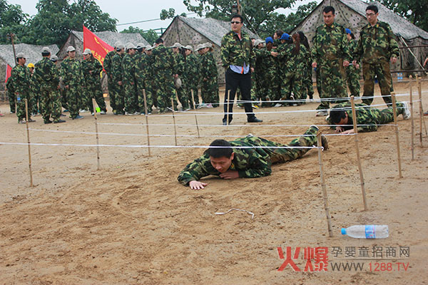 2013������չ��Ӗ(x��n)