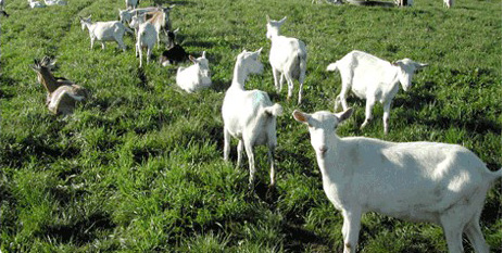 ����������Դ����������������������