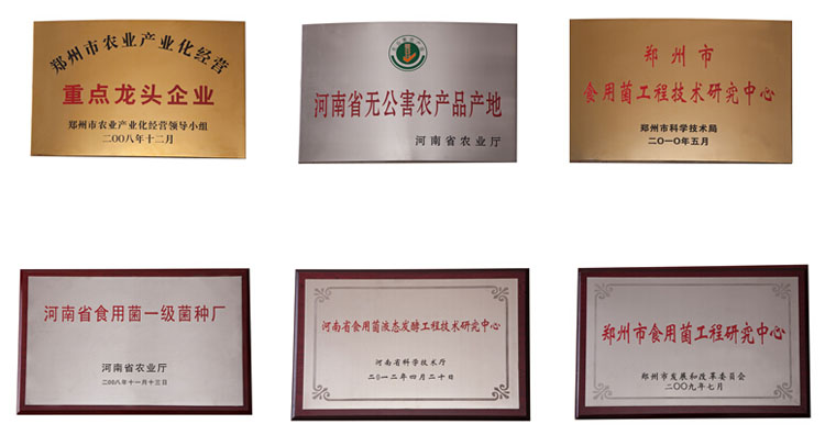 ��˾�s�u(y��)�C��