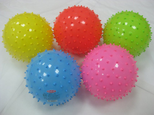 ������6.5�簴Ħ�������