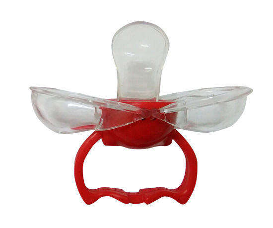 �������z��������Ԅ��]������