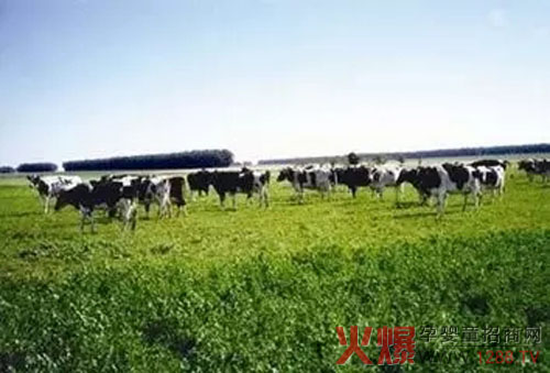 �����С���R���Կ������J�O(ji��n)ί���x����������ЙCʳƷ�˜ʡ�