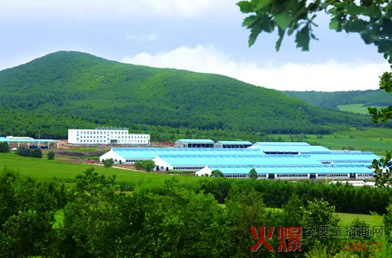 �l(f��)չ���w��(j��ng)�������_ɽ���Є���