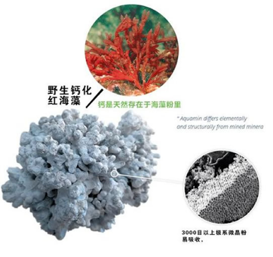 20247919351946140.jpg 20247919351946140.jpg