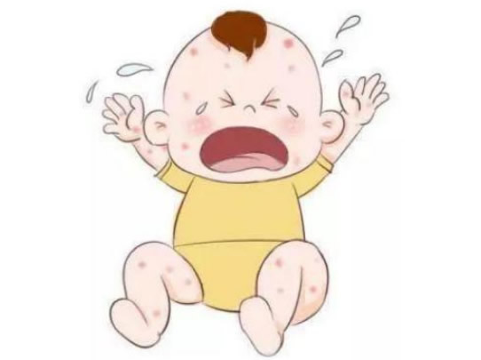 20247919361022278.jpg 20247919361022278.jpg