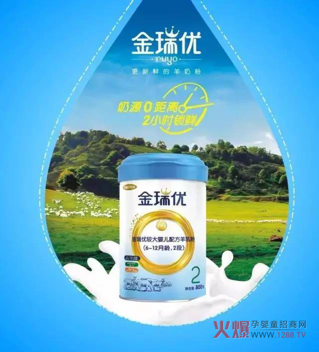 ���̷�+OPO�����ж����