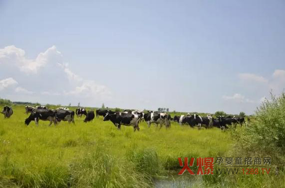 ���_ɽ�̷۞�Ε��ܵ��@ô���˵�ϲ����