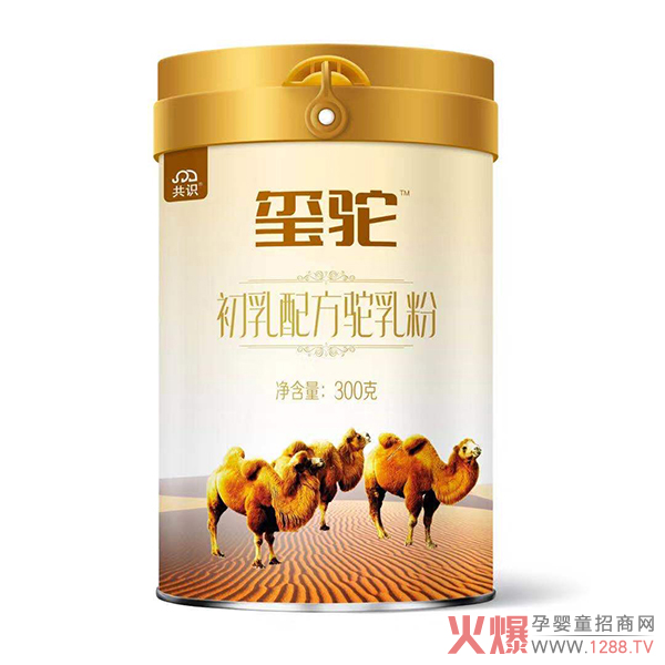 2020�Ă����ӵ��̷ۺ��u��׌�t����۽o�����