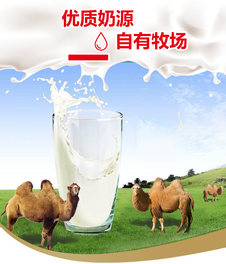 軍耀優(yōu)品新疆奶源初乳益生菌駱駝奶粉招商代理兒童中老年駝奶粉2.jpg