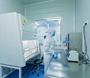  ��������S19