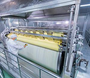  ��������S31