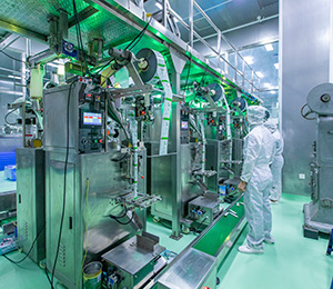  ��������S12