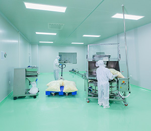  ��������S1