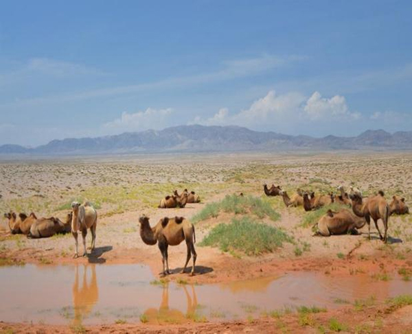 ���ƽz�ĸ�댣�������\�д���������ģʽ���´򷨣����o(h��)ȫ�ҽ������\�����ļ��룡