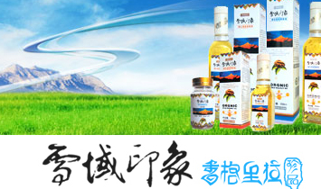 ����ѩ��ӡ������Ƽ����޹�˾