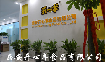 �����_(k��i)����ʳƷ���޹�˾