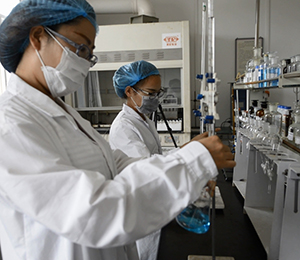 �|(zh��)�z���Č�(sh��)�(y��n)��