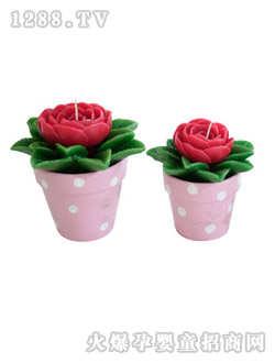 �����ֹ�Ʒõ�廨