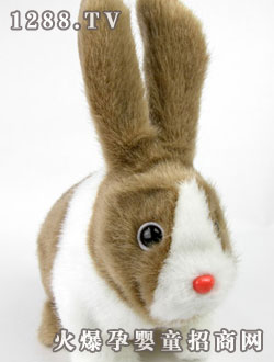 ��֮���L(zh��ng)����