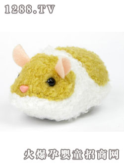 ��֮���옷�����}(c��ng)��