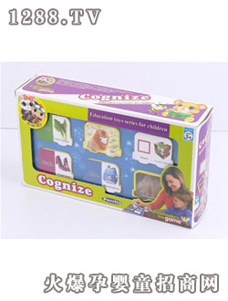 恒信youe教學(xué)系列玩具（常識認知）