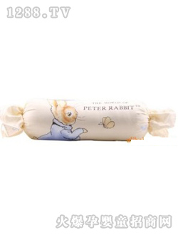 ��ʿ��ȵ����ǹ������ף�