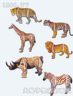 ���DС����