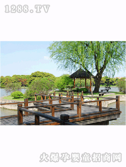 ϲϲ����ɭ���^����