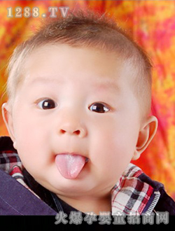 ���O(p��ng)��������(xi��)��С����Ƥ