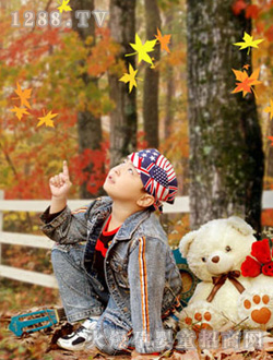 ����r������Ĺ���