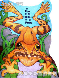 С��̖(h��o)�����L(f��ng)�����w�������ģ�