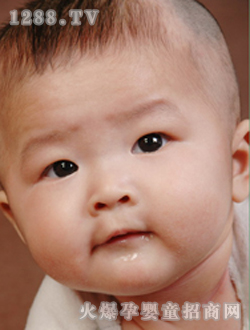 ɭ�ŵٌ�������