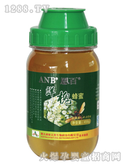 �����󻱷���458g