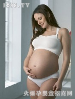 �����ЋD�и���