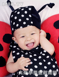 ���⌚�����ǔzӰ1_13