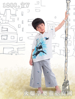 ȸ̫�ɰ�ɫ����