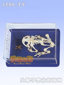 ؐ�ܹ�����(bi��o)���̾�