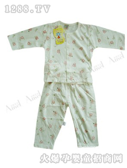 ANSEL���׃���(n��i)��ѝ