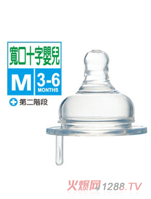 С�{�����͌���ʮ�ֿ�����M-1��(�냺)