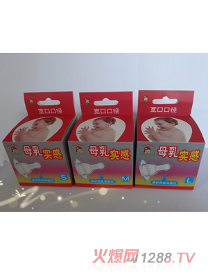 �����������ڏ�����