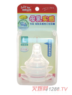 ���ތ��ڏ�ĸ���m���������͸�����b