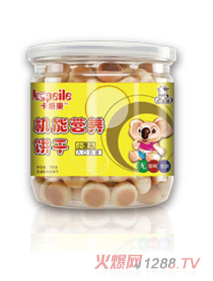 �������C(j��)�ܠI�B(y��ng)�С�z�^