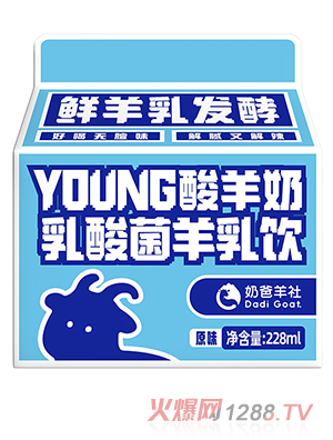 �̰�����YOUNG����������������
