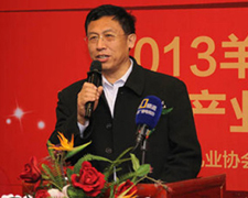 �����½����v���҇�(gu��)ɽ�����_�l(f��)�F(xi��n)���cڅ��(sh��)